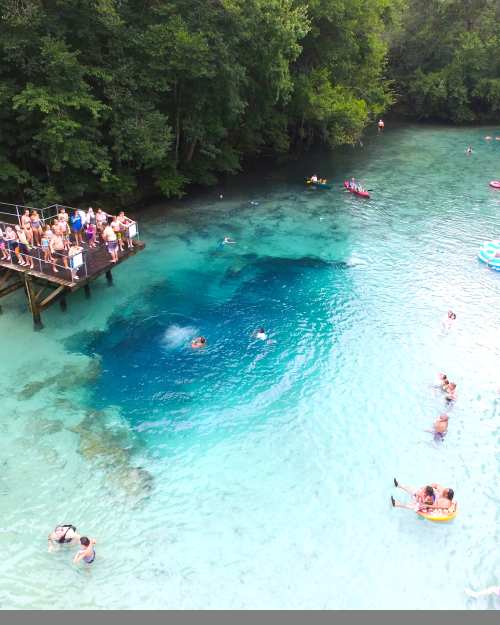 Gilchrist Blue Springs State Park contains a collection of natural springs, including a large second magnitude spring that produces an average of 44 million gallons of water per day. This spring, known as Gilchrist Blue, has outstanding water clarity and discharges water through a shallow spring run about one-quarter mile to the Santa Fe River.  (Source: Florida State Parks)