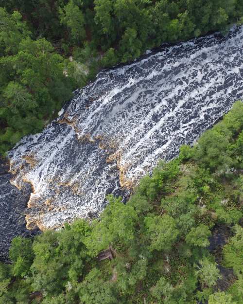 Big Shoals State Park in north Florida features the largest whitewater rapids in the Sunshine State
